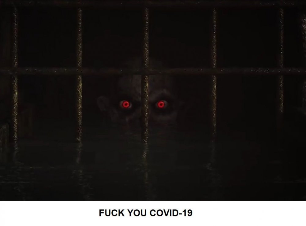 COVID-19 Meme 3.jpg
