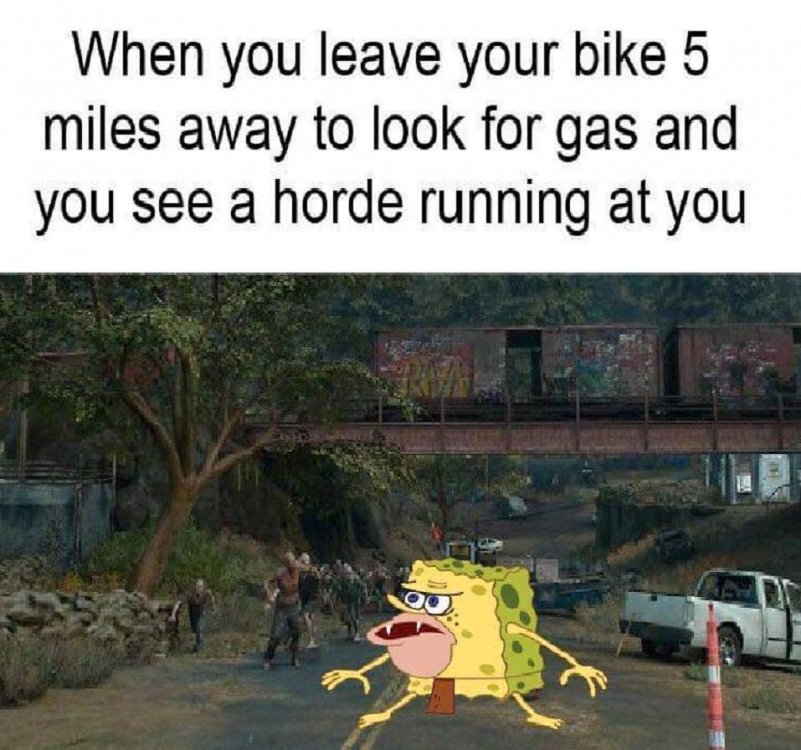 Days-Gone-Bike-Meme-1.jpg