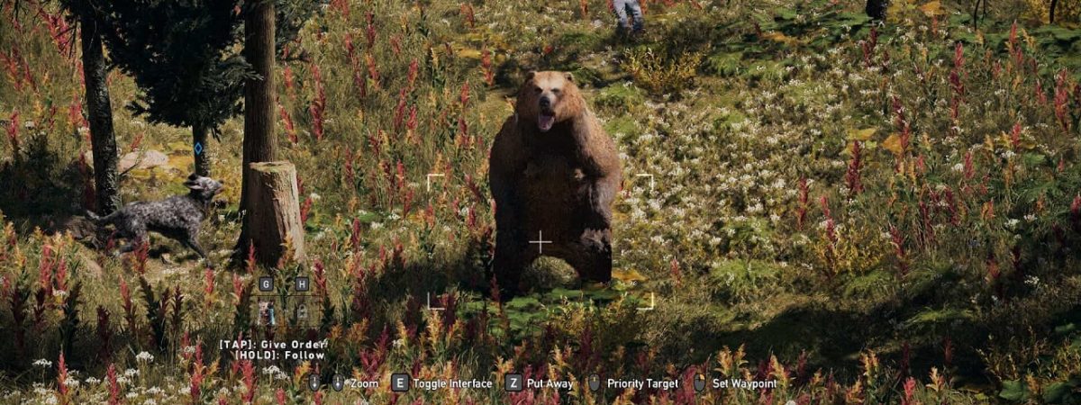 How to Hunt Far Cry 5's Grizzly Bears