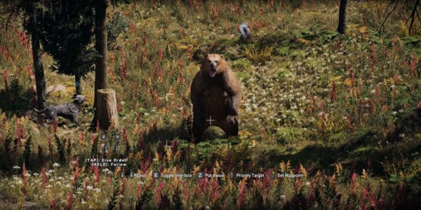 How to Hunt Far Cry 5's Grizzly Bears