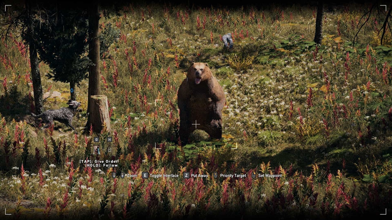 where to hunt grizzly bears in far cry 5