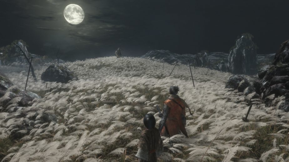 Sekiro has no ties to previous Soulsborne games.