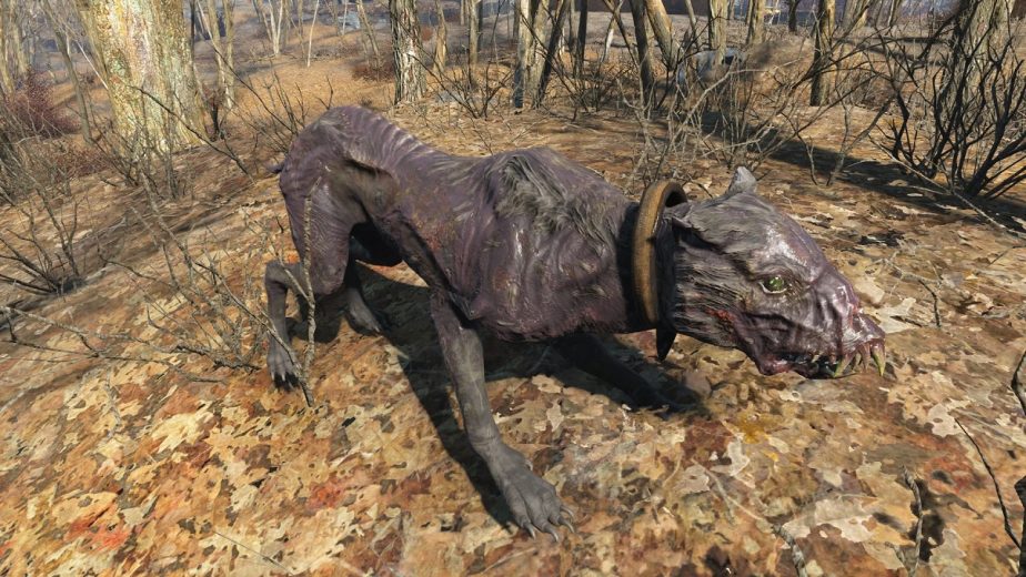 A Fallout 76 Snarly Yow is Easy to Imagine Based on Previous Fallout Hounds