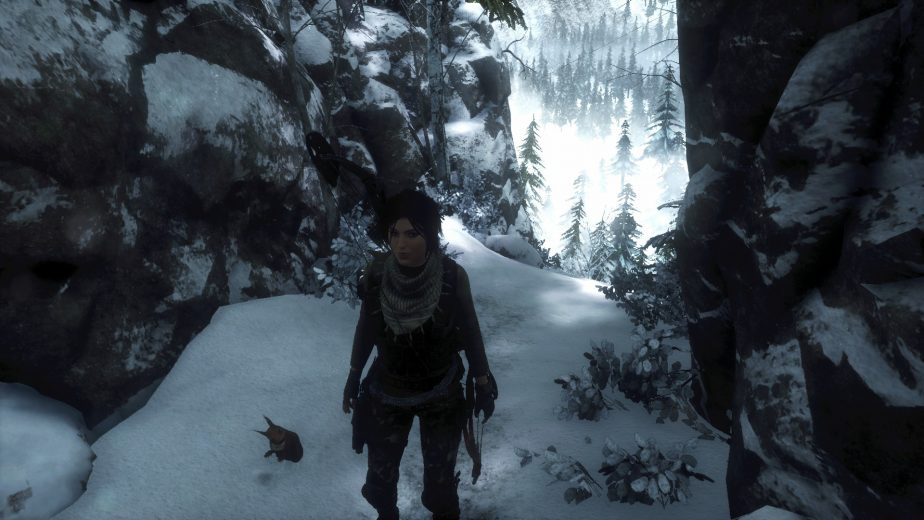 Rise Of The Tomb Raider