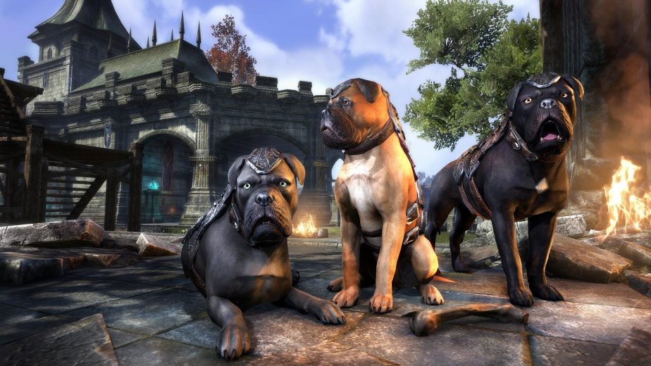 Alliance War Dogs Are the Only Listed Dog Still Available in the Crown Store