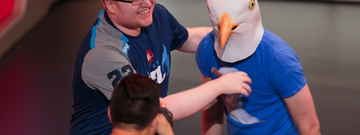Seagull