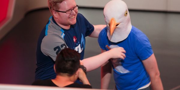 Seagull