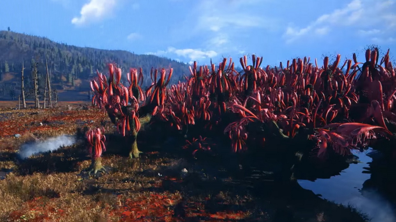 The Cranberry Bog is Based on the Real Cranberry Glades