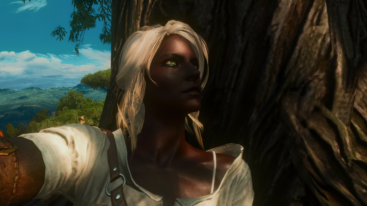 The-New-Witcher-3-Mod-Gives-Ciri-Dark-Sk