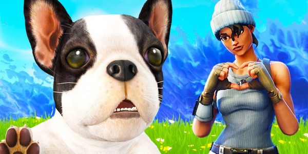 Fortnite pets