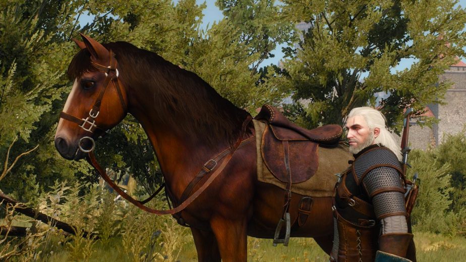 There Were Designs to Let Roach Come Aboard Geralt's Boats