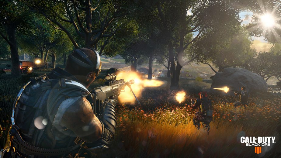 Call of Duty Black Ops 4's Blackout mode won't have a hardcore playlist at launch.