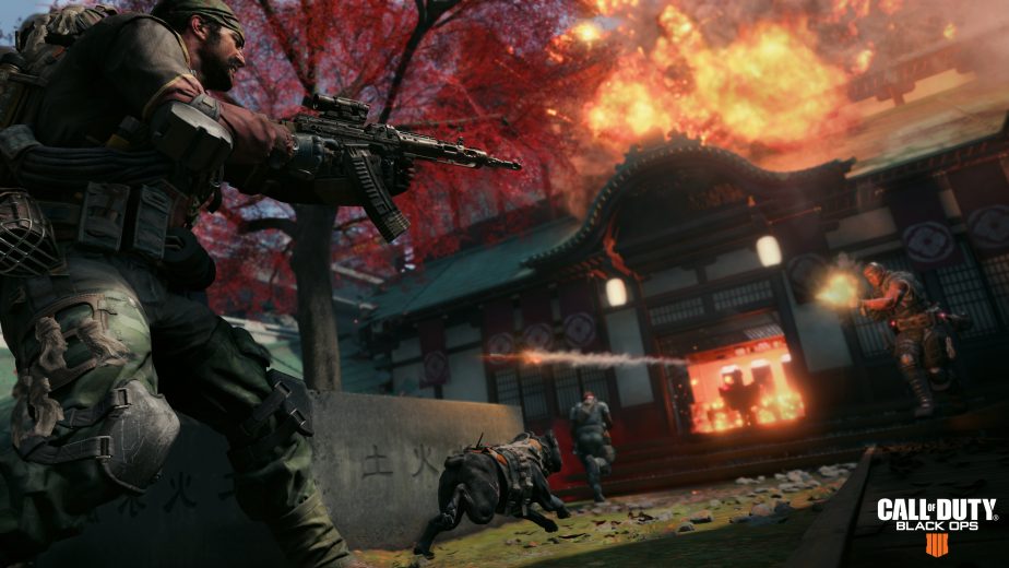 Call of Duty Black Ops 4's CODE Salute Pack will arrive alongside the main game.