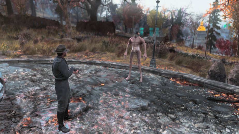 Fallout 76 Bug Causes Bizarre Appearance