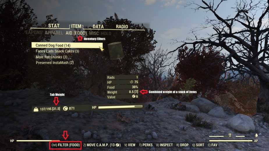 Fallout 76 Mods Exist in a State of Uncertainty