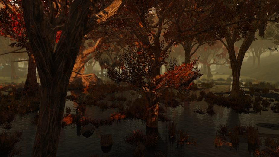 Fallout 76 Wood Can be Harvested Directly From Trees