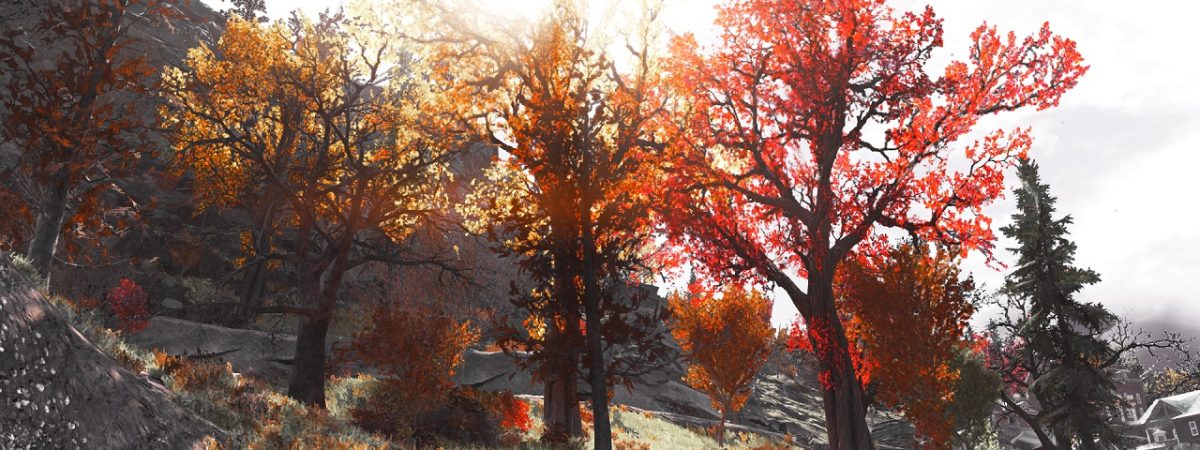 Former Obsidian Developer Praises Fallout 76