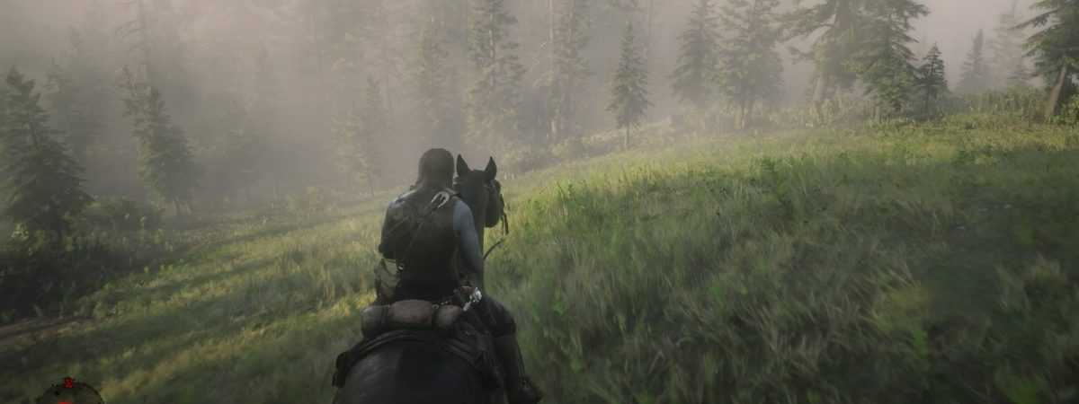 Red Dead Redemption 2 offers a variety of options for mini-map display.