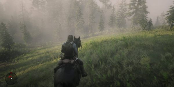 Red Dead Redemption 2 offers a variety of options for mini-map display.