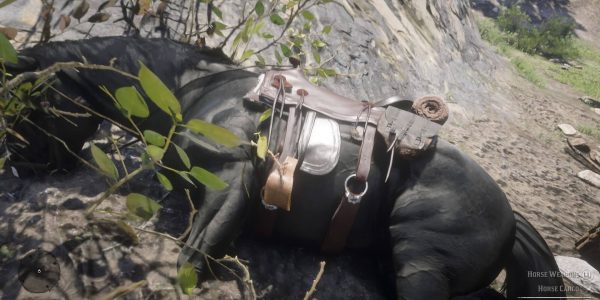What should you do when your horse gets critically injured in Red Dead Redemption 2?
