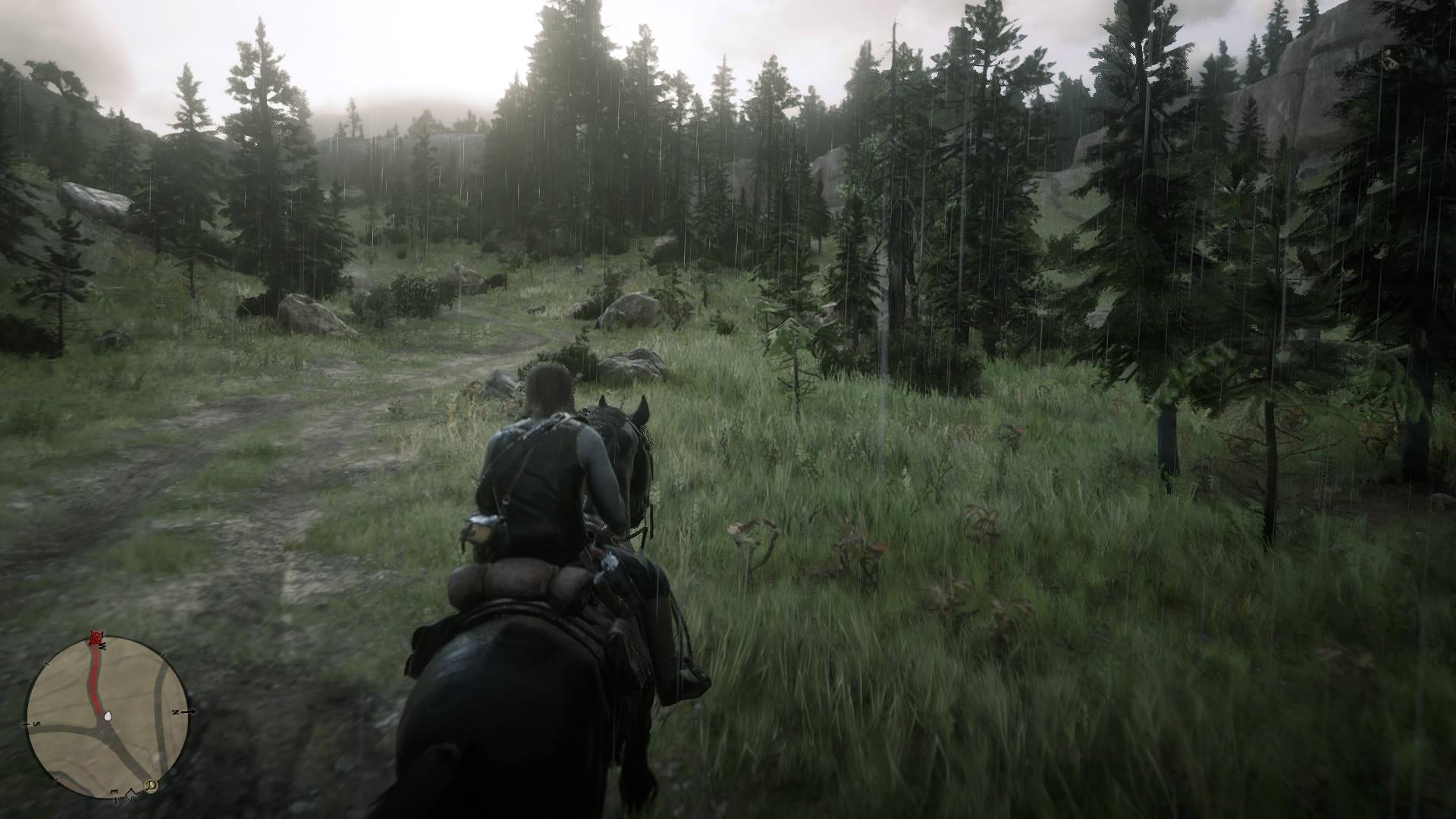Red Dead Redemption 2 defaults to displaying the mini-map as it appears in this picture.