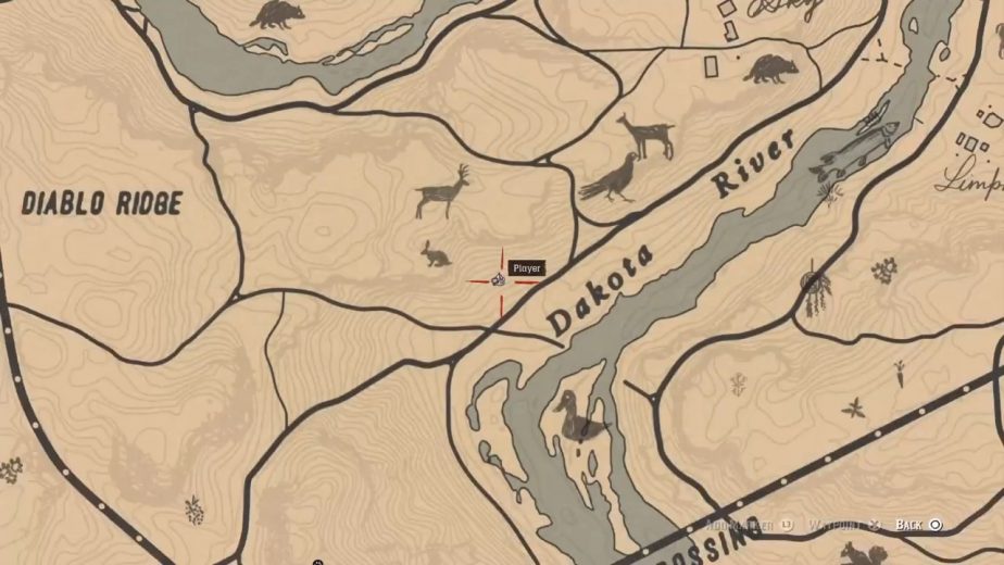 The Dakota River is one of the best places to hunt woodpeckers in Red Dead Redemption 2.