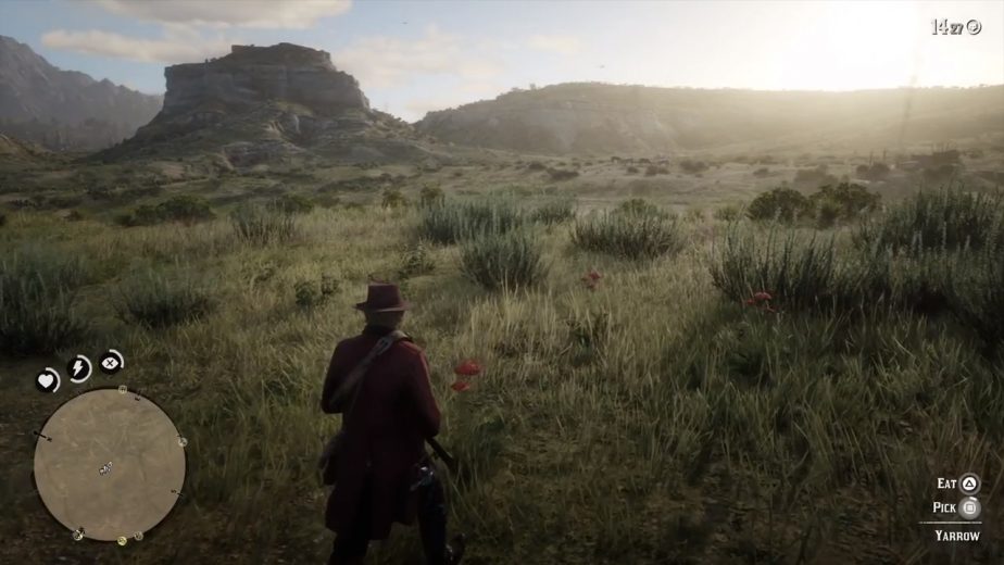 Keep an eye out for the Yarrow plant's distinct red leaves in Red Dead Redemption 2.