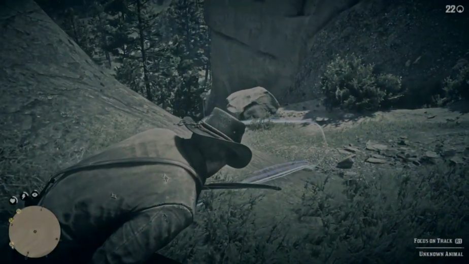 Red Dead Redemption 2 Legendary Cougar location