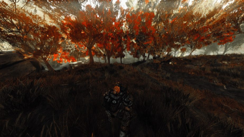 Bethesda Permanently Bans Fallout 76 Players