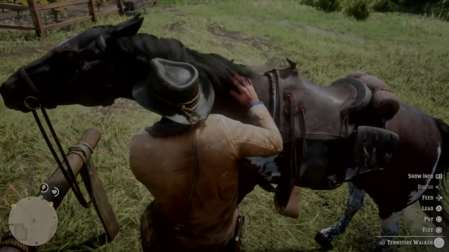 Absolutely. We’d love for it to be there. But again — and this is where there needs to be an understanding of just the development process — Red Dead has been in development for years, time that predated any communication of Nintendo Switch. So, from the developer’s mentality, they need to move forward and finish the game they’ve been working on and then be in a position to look at other opportunities. Any game from a key third-party that’s coming out now, typically that development started well before any conversations about Nintendo Switch. What happens moving forward? We’ll see. But that’s how you wind up with a situation with Red Dead not being available on our platform.