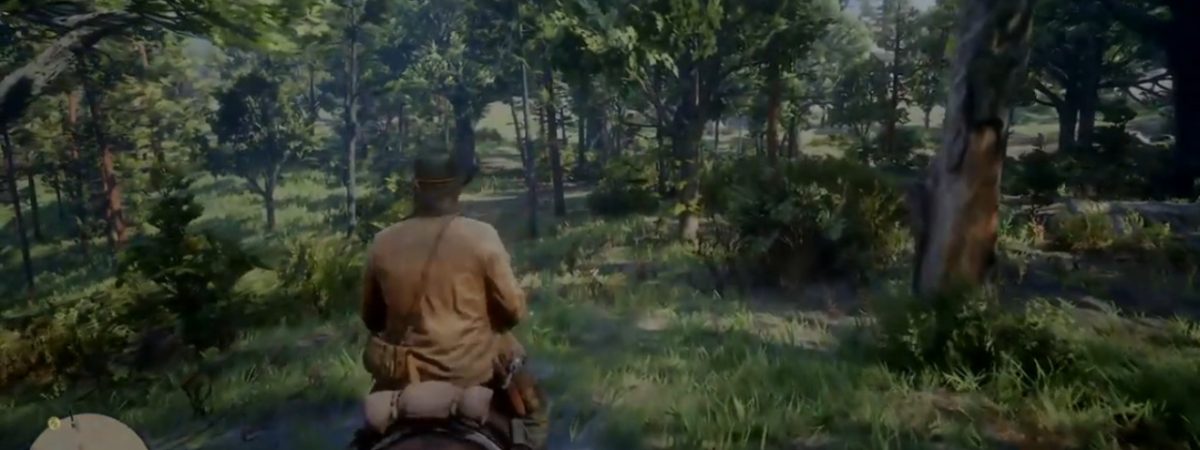 Red Dead Online private sessions