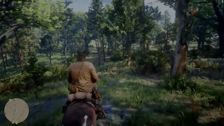 Red Dead Online horse death