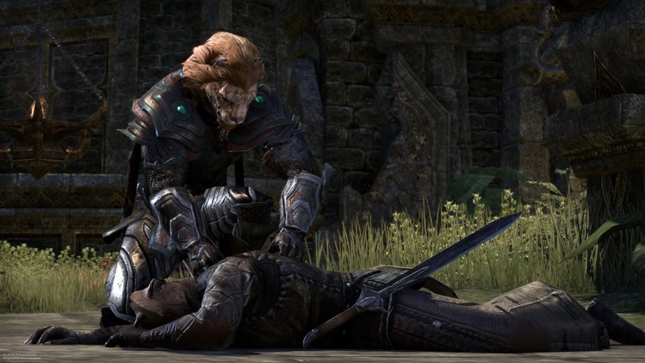 Elder Scrolls Online Khajiit Expansion Leak