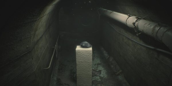 The latest Resident Evil screenshots feature Tofu and Hunk