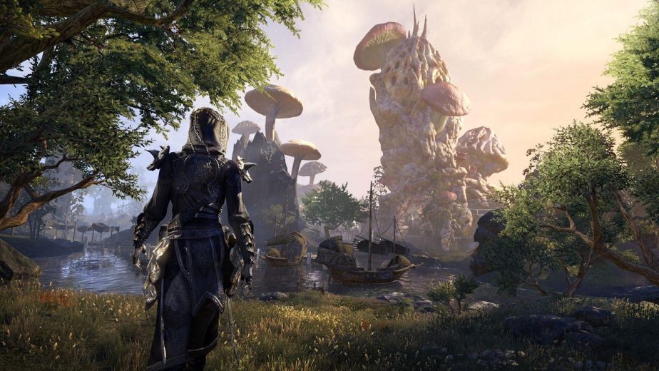 Elder Scrolls Online Crowns go Out to Celebrate Award Success