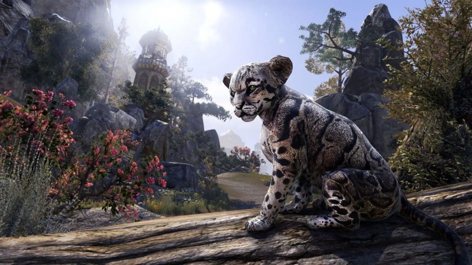 Elder Scrolls Online Elsweyr DLC at Bethesda Game Days 2