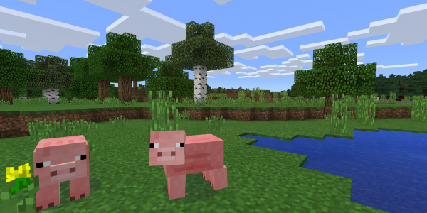 All references to Notch have been removed from Minecraft