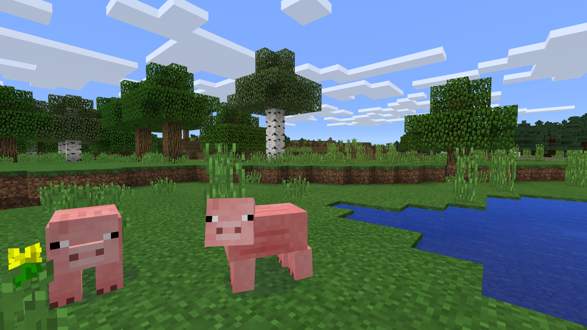 All references to Notch have been removed from Minecraft