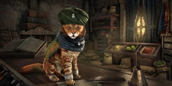 Elder Scrolls Online Elsweyr DLC Alfiq