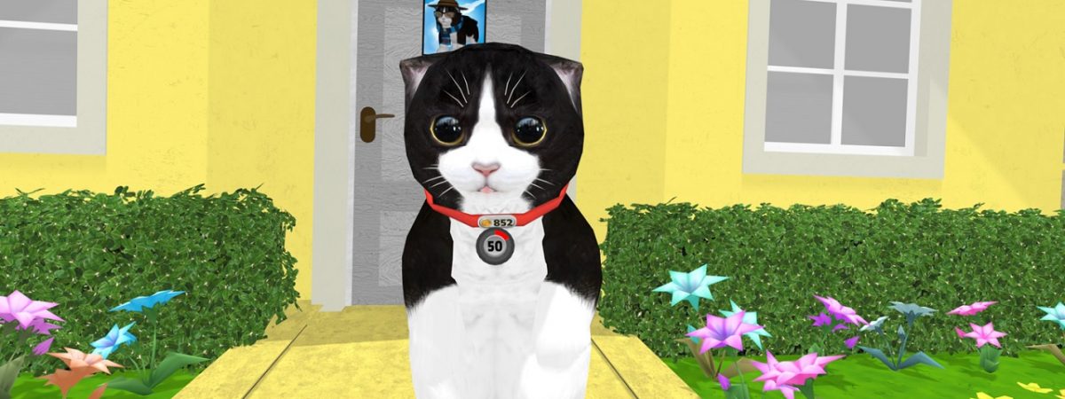 Konrad the Kitten VR Pet Simulator 2