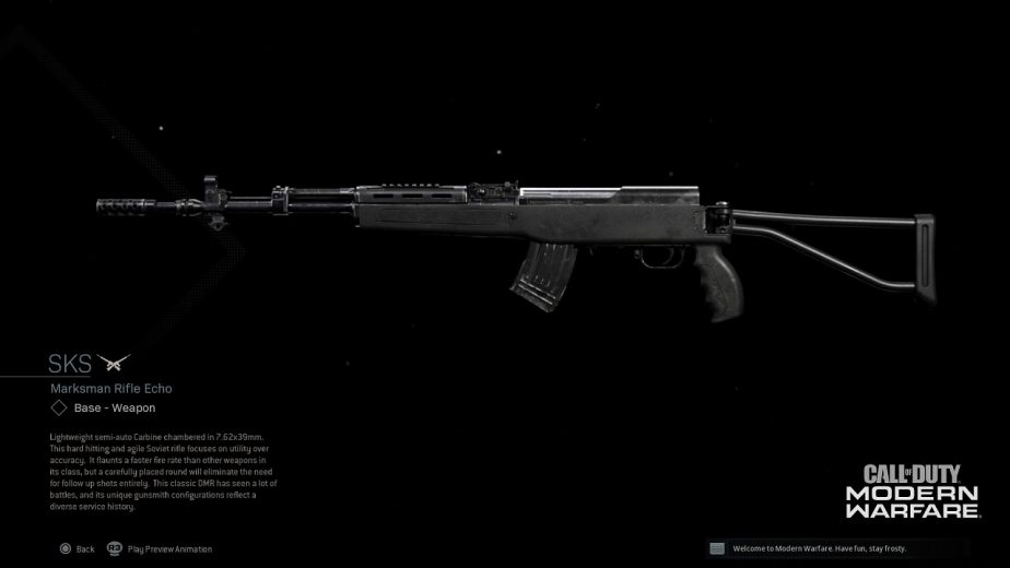 Call of Duty Modern Warfare SKS Marksman Rifle 2