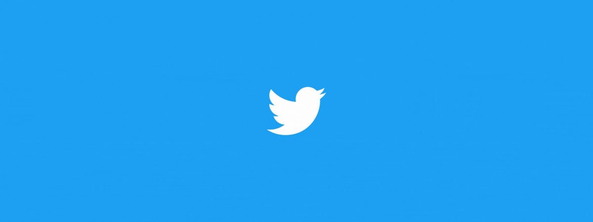 Is Twitter Down? How to Check Server Status